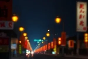 《半盏灯火》夜里半掩木门透出灯光